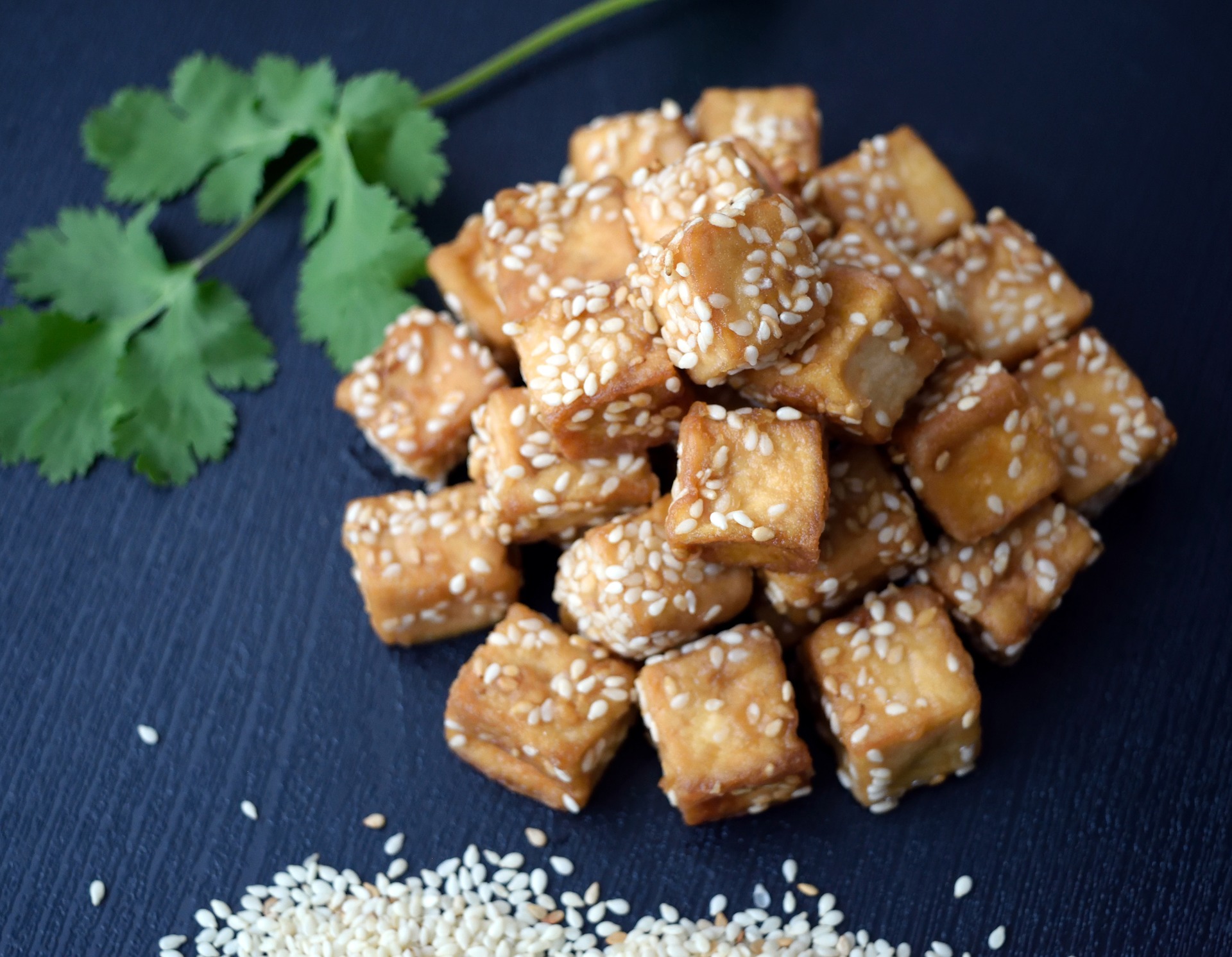 Makanan Tahu Jepang dengan Saus Wijen yang Lezat dan Sehat